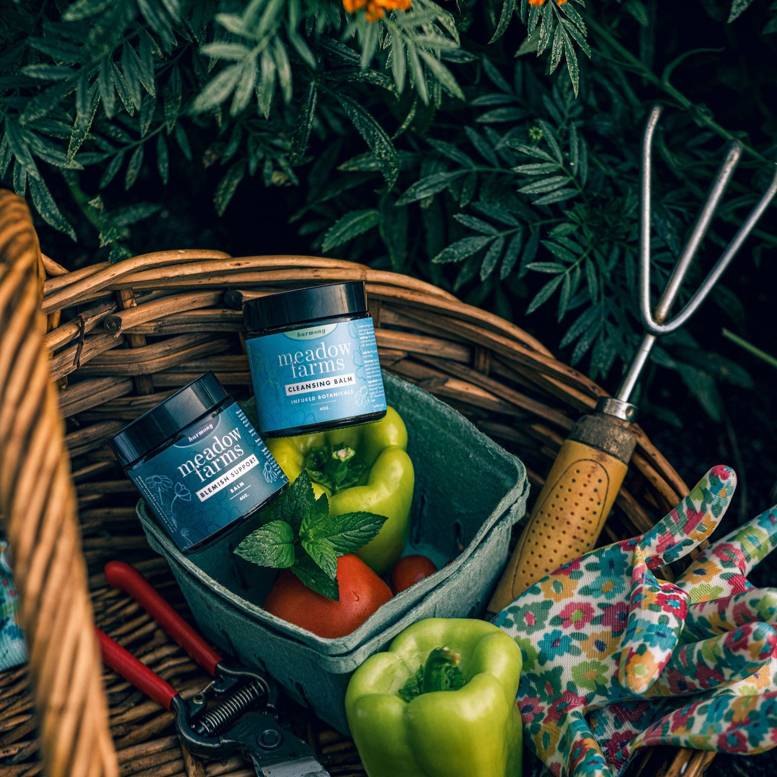 Harmony - Blemish Support Balm