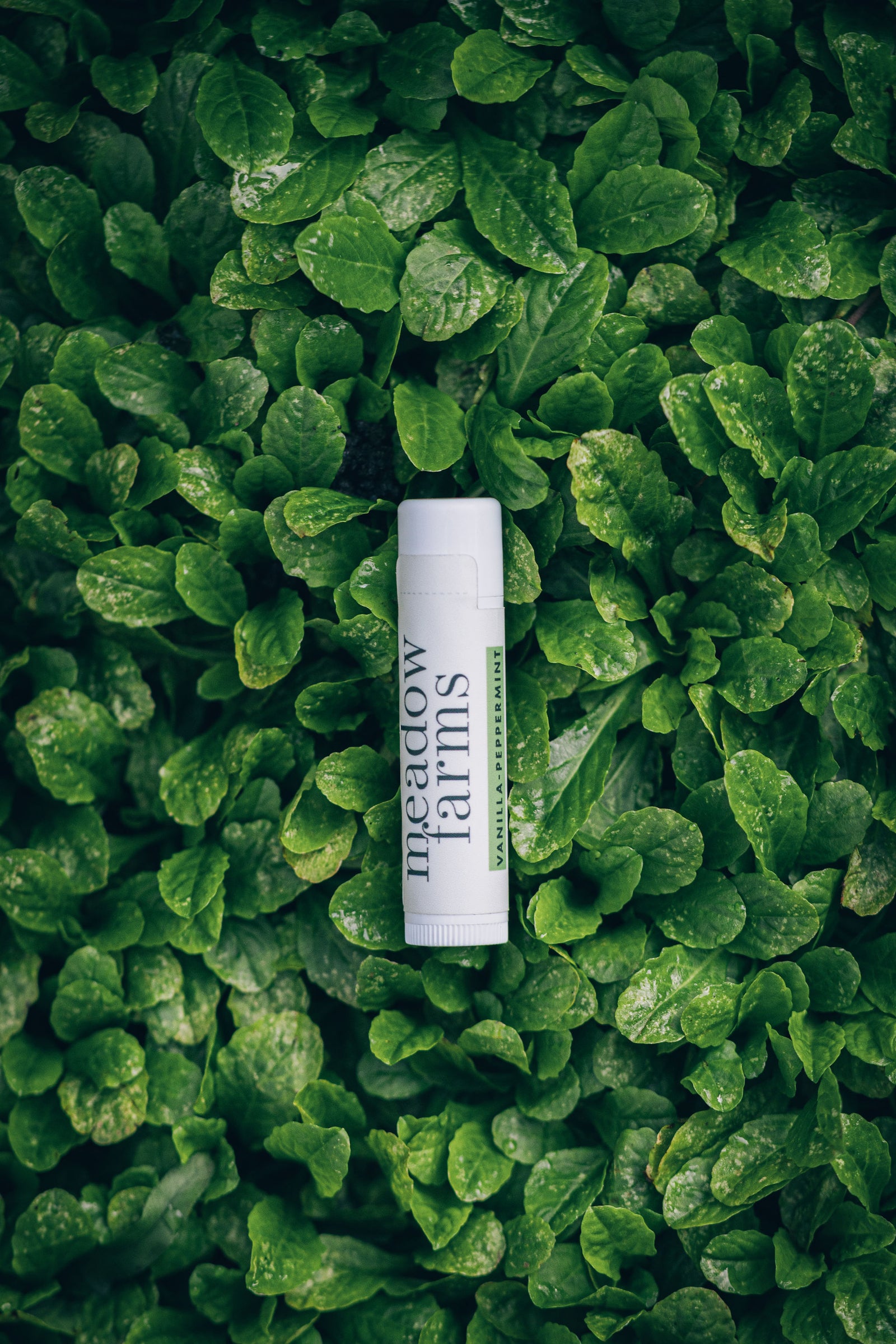 Botanicals - Lip Balm