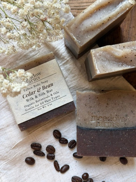 Cedar & Bean Milk & Silk Bar